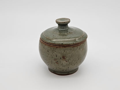 Sage Green Container with lid