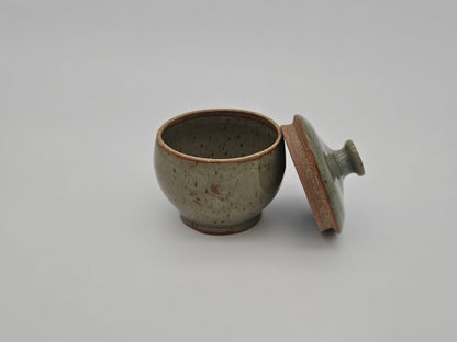 Sage Green Container with lid
